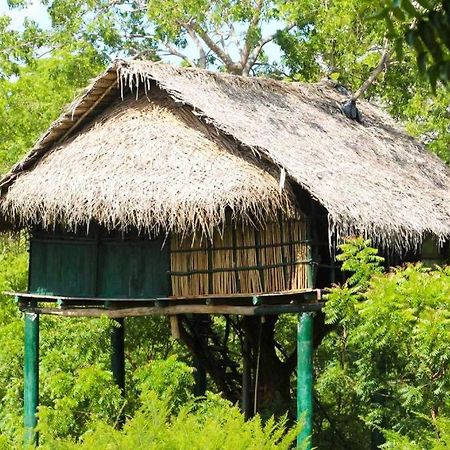 Yala Beddegama Eco Hotel Kataragama Buitenkant foto