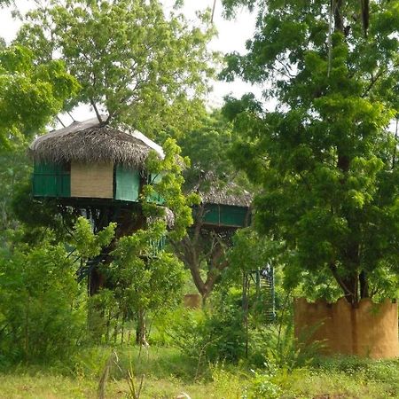 Yala Beddegama Eco Hotel Kataragama Buitenkant foto