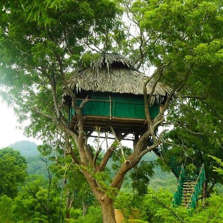 Yala Beddegama Eco Hotel Kataragama Buitenkant foto