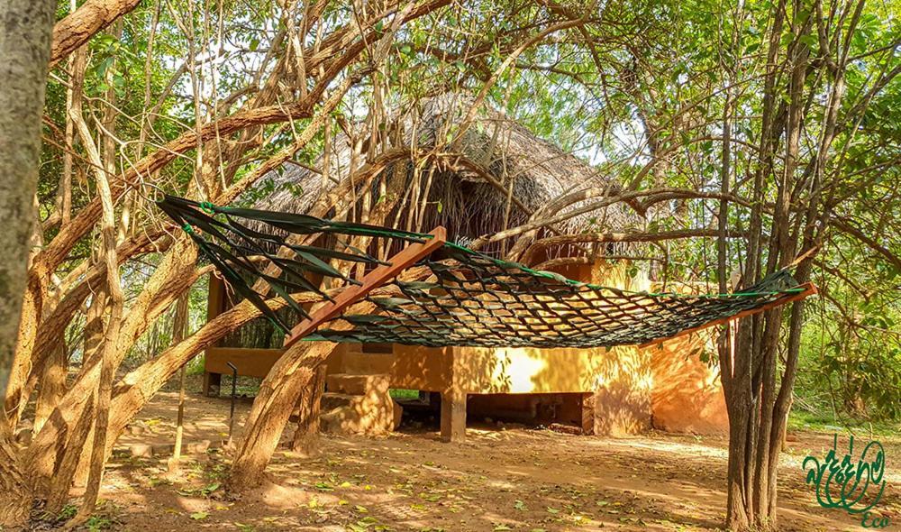 Yala Beddegama Eco Hotel Kataragama Buitenkant foto