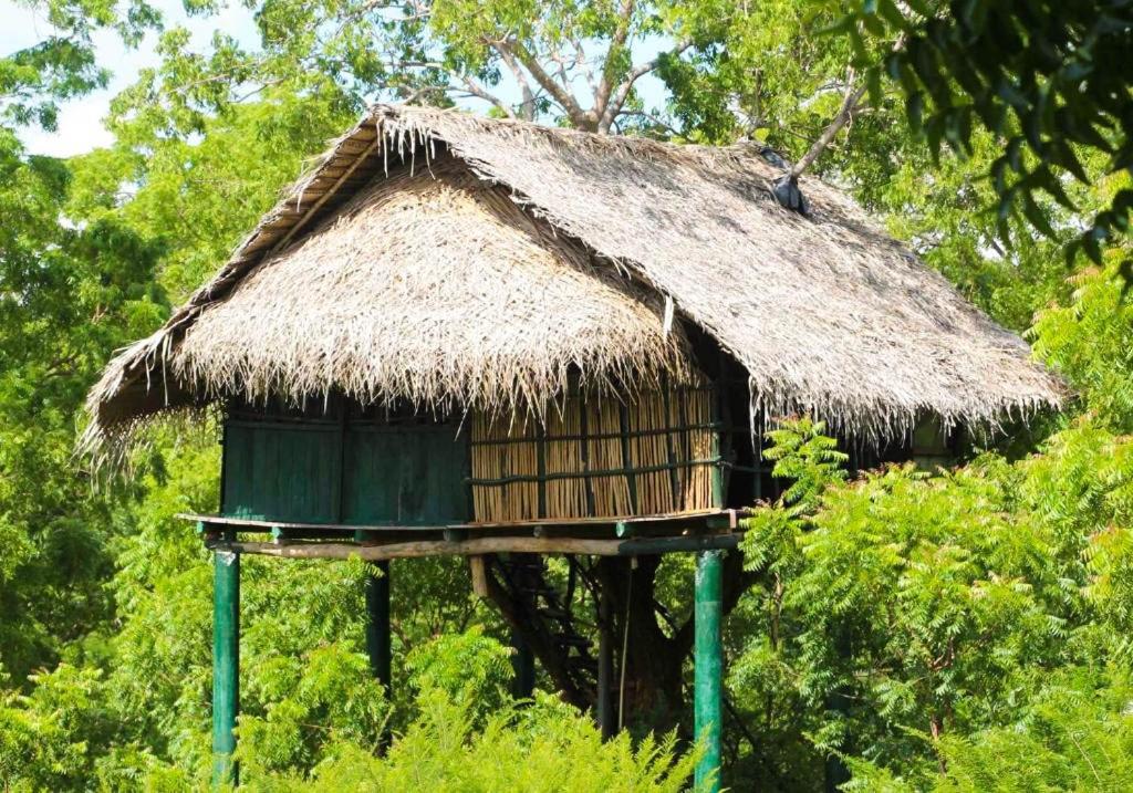 Yala Beddegama Eco Hotel Kataragama Buitenkant foto