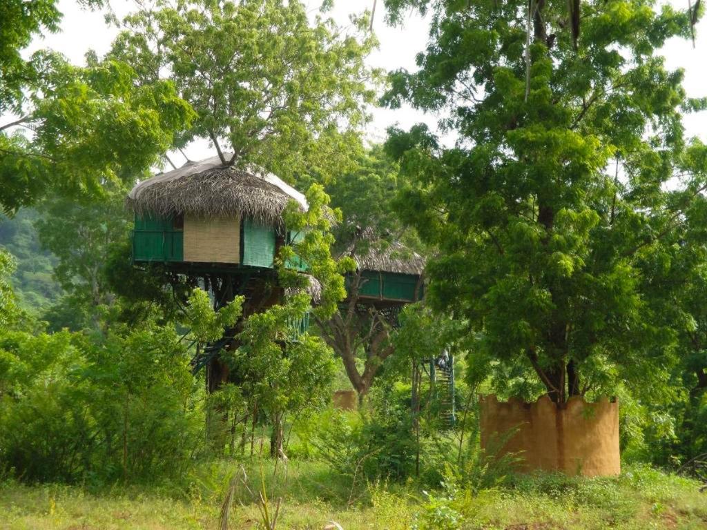 Yala Beddegama Eco Hotel Kataragama Buitenkant foto