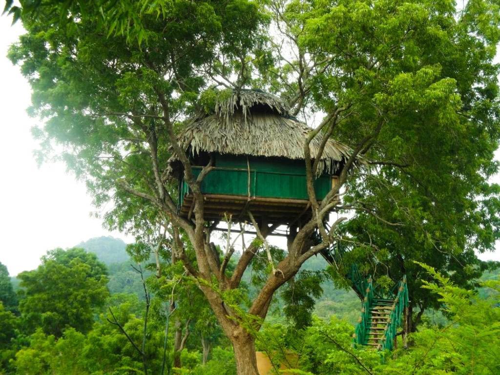 Yala Beddegama Eco Hotel Kataragama Buitenkant foto