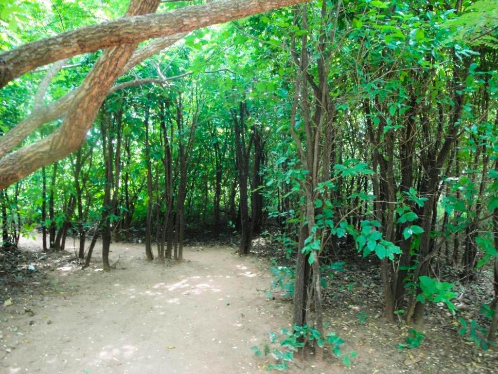 Yala Beddegama Eco Hotel Kataragama Buitenkant foto