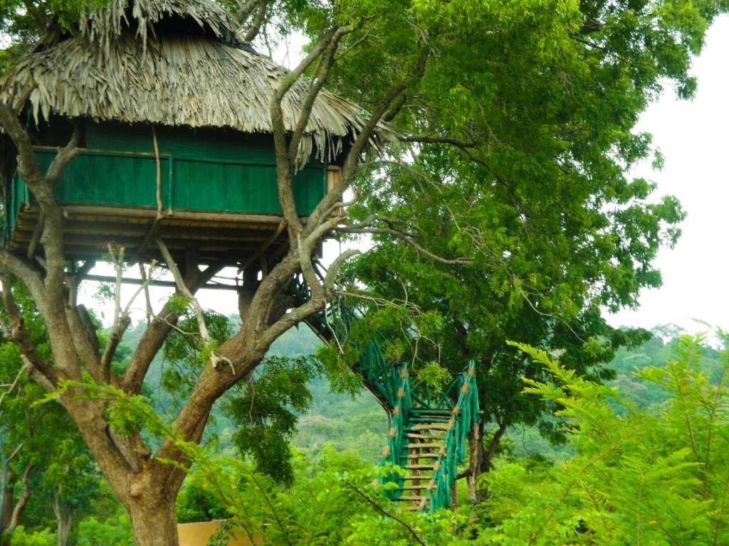 Yala Beddegama Eco Hotel Kataragama Buitenkant foto