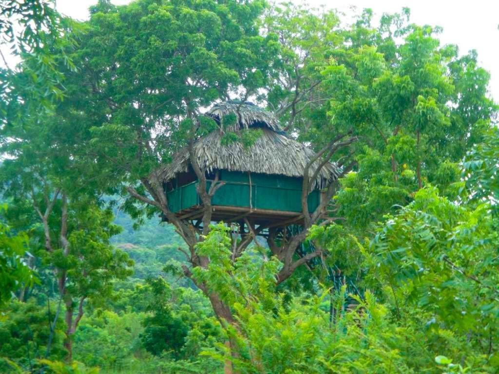 Yala Beddegama Eco Hotel Kataragama Buitenkant foto