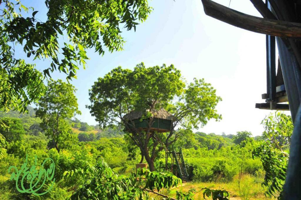 Yala Beddegama Eco Hotel Kataragama Buitenkant foto