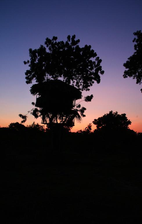 Yala Beddegama Eco Hotel Kataragama Buitenkant foto