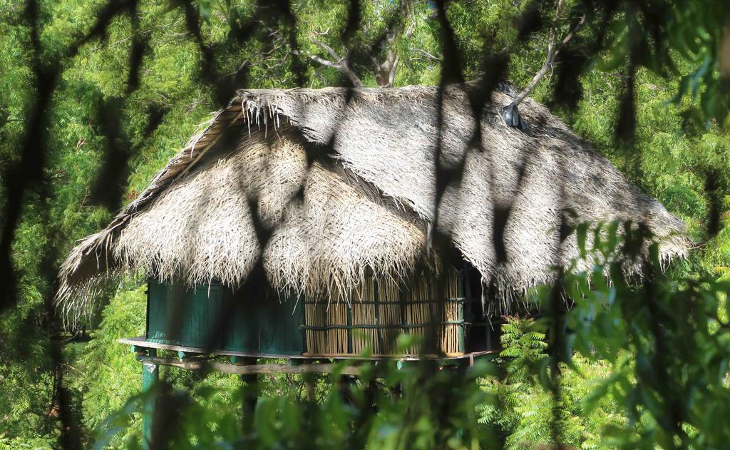 Yala Beddegama Eco Hotel Kataragama Buitenkant foto