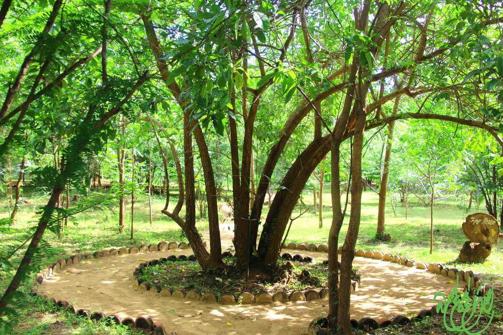 Yala Beddegama Eco Hotel Kataragama Buitenkant foto