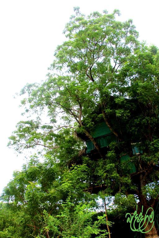 Yala Beddegama Eco Hotel Kataragama Buitenkant foto