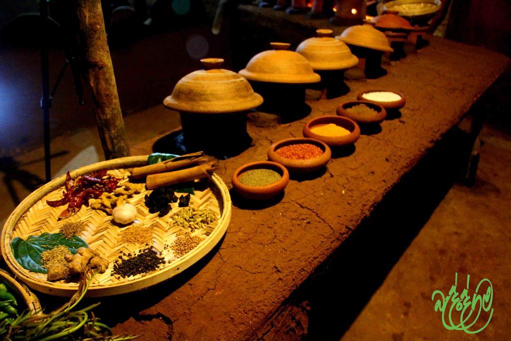 Yala Beddegama Eco Hotel Kataragama Buitenkant foto