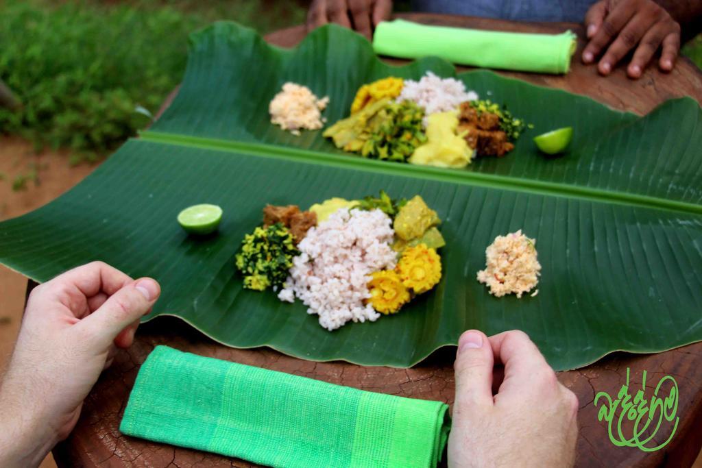 Yala Beddegama Eco Hotel Kataragama Buitenkant foto