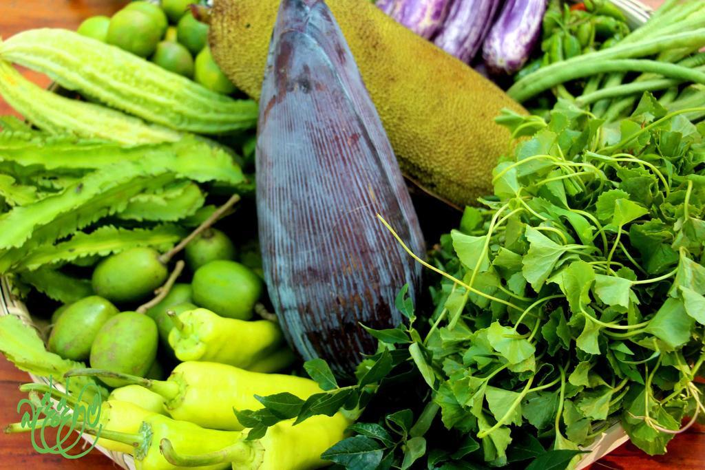 Yala Beddegama Eco Hotel Kataragama Buitenkant foto