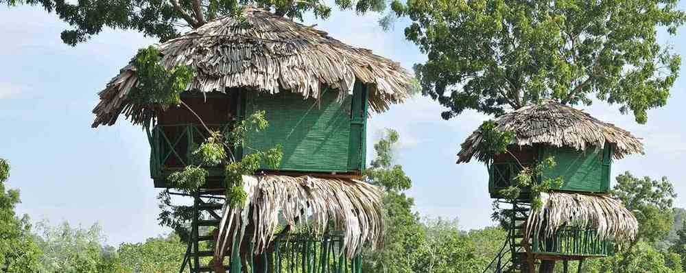 Yala Beddegama Eco Hotel Kataragama Buitenkant foto