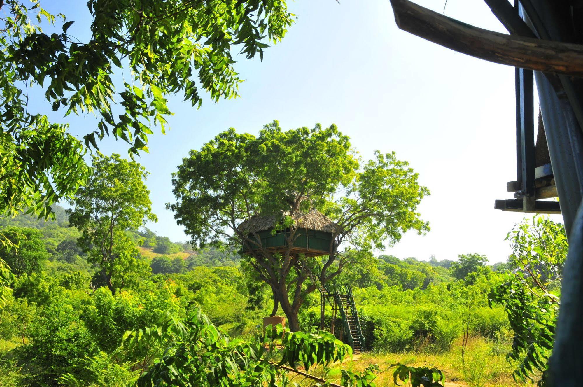 Yala Beddegama Eco Hotel Kataragama Buitenkant foto