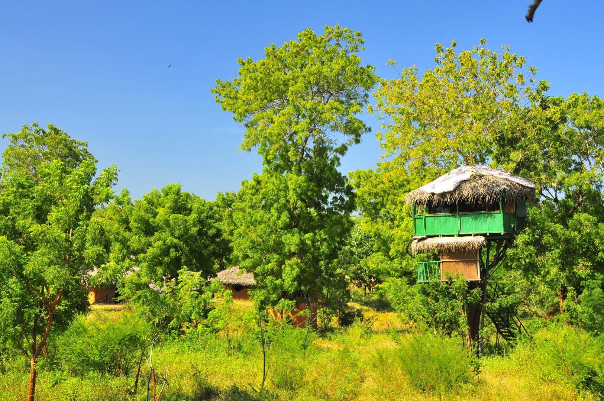 Yala Beddegama Eco Hotel Kataragama Buitenkant foto