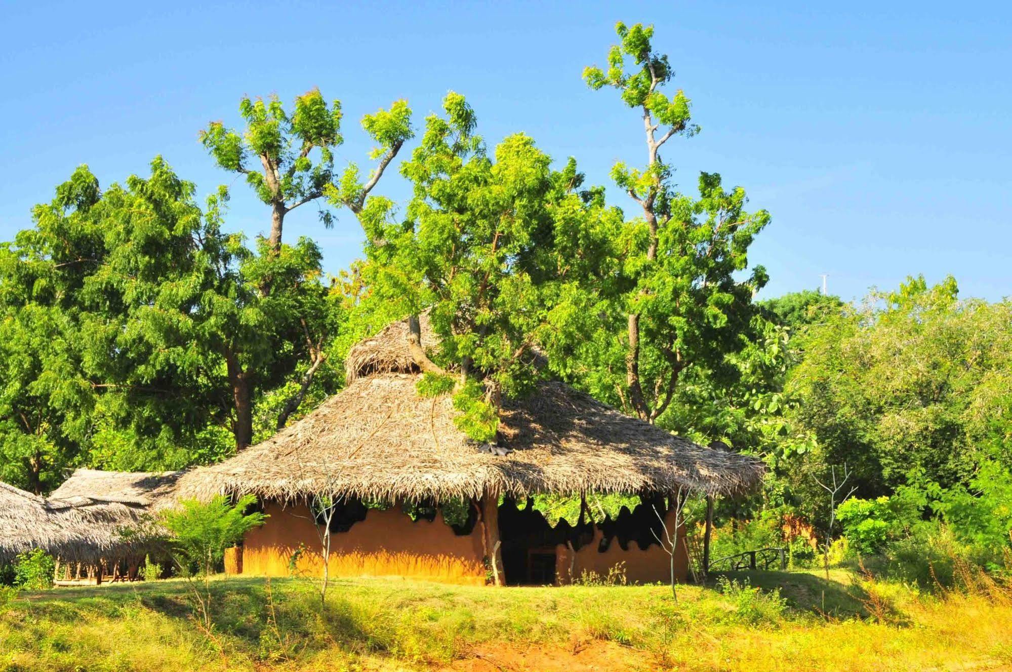 Yala Beddegama Eco Hotel Kataragama Buitenkant foto