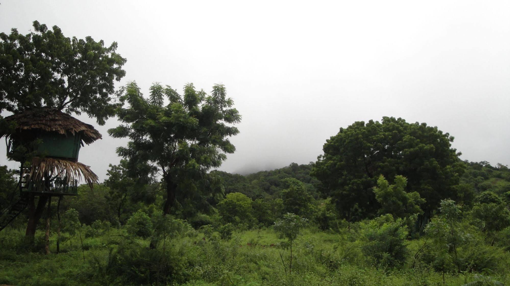 Yala Beddegama Eco Hotel Kataragama Buitenkant foto